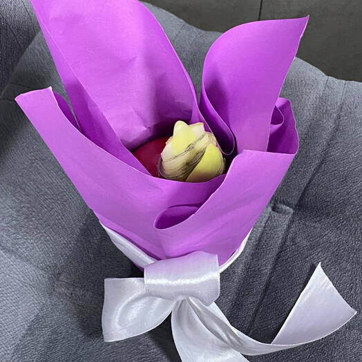 Луковица Амарилиса в красном воске в подарочной упаковке