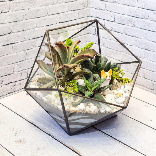 Флорариум Трое из ларца