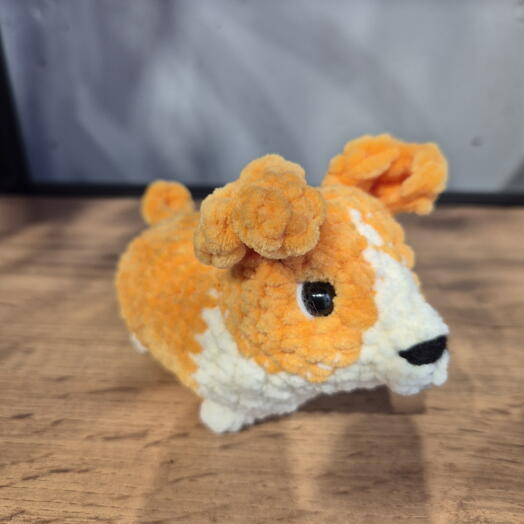 Корги