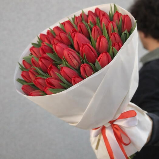 Red tulips