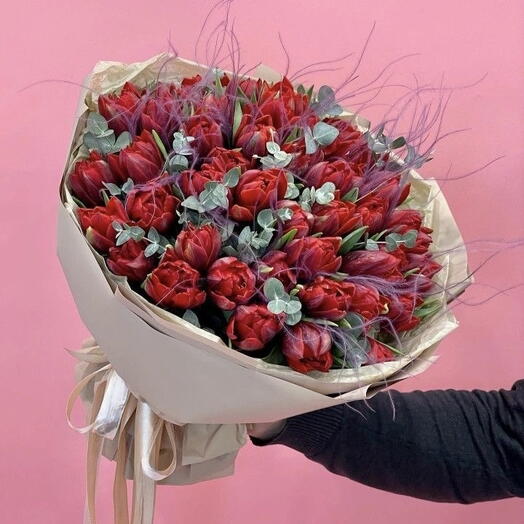 Букет из 50 пионовидных тюльпанов с эвкалиптом