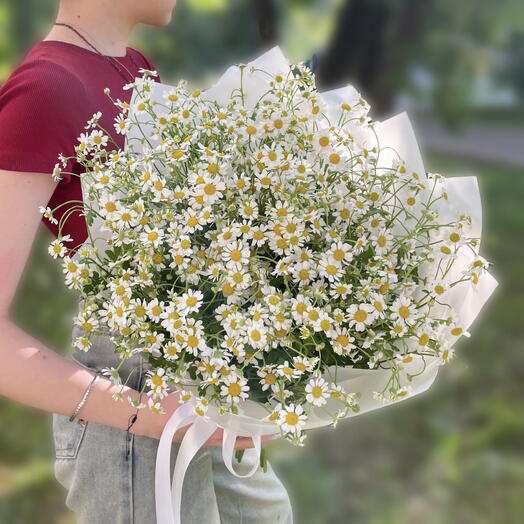 Пышный букет из кустовых ромашек