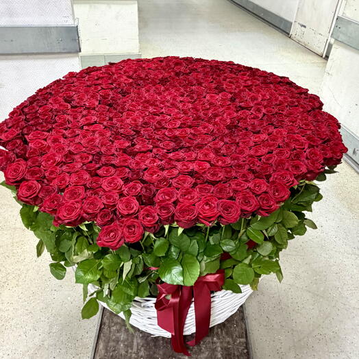 Корзина из 501 Розы