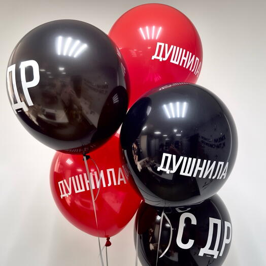 Набор воздушных шаров "Душнила" на День рождения (5 шт.)