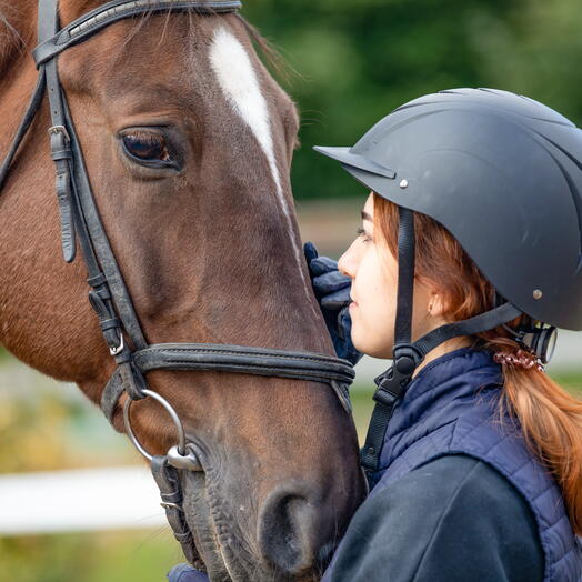 Сертификат на урок верховой езды