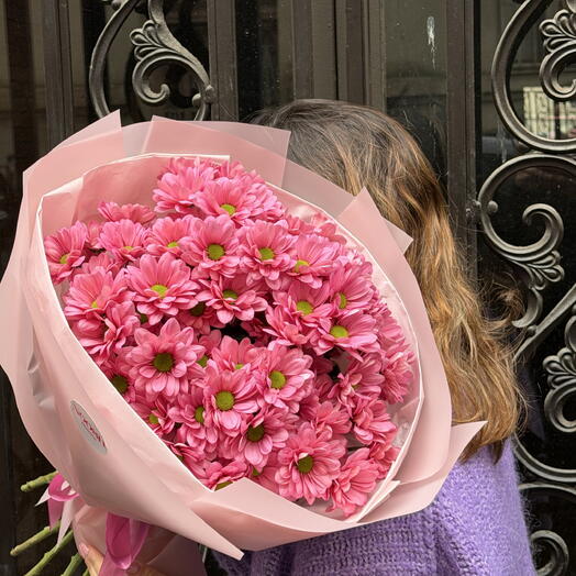 Pink Daisies