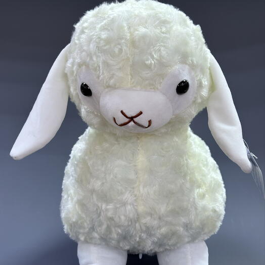 Овечка 🐑