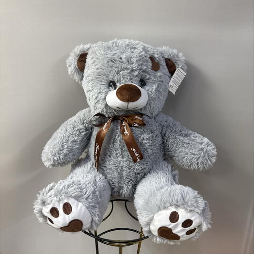 Мишка Тони
