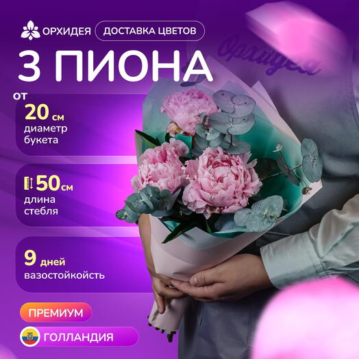 3 Пиона "Сара Бернар" и эвкалипт