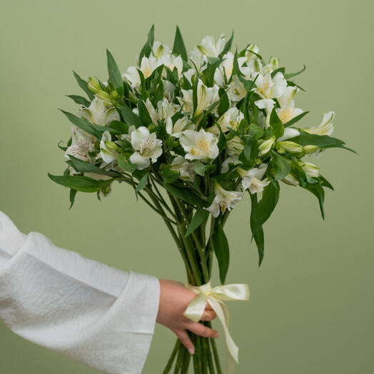 альстромерия белая 15
