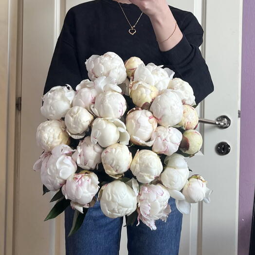 Белые пионы 25 шт