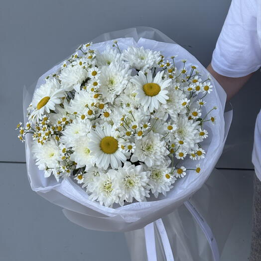 Ромашковое поле
