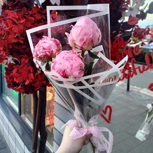 Главное ВНИМАНИЕ 😍Пиономания 🩷3 Пиона Сара Бернар Пионы