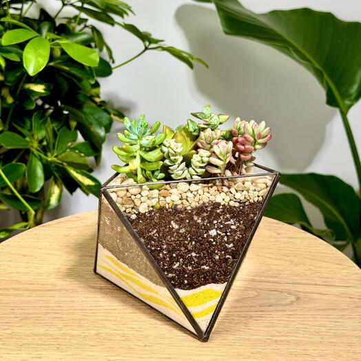 Florarium "Octaedro" con suculentas