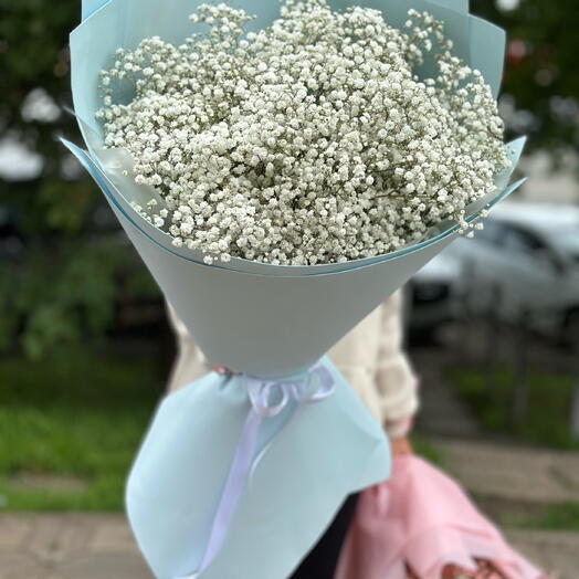 облако гипсофил