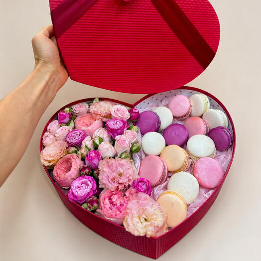 French macarons box