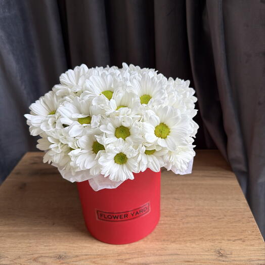 Коробочка с ромашками 🌼