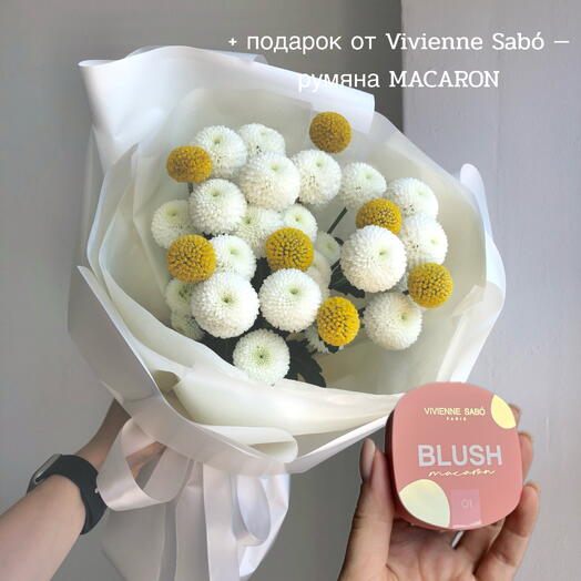 Букет с хризантемой и краспедией N 904 + подарок от Vivienne Sabo — румяна MACARON