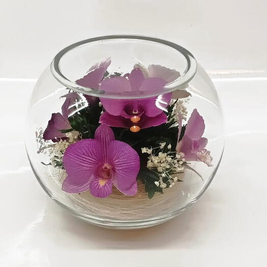 Натуральные орхидеи в стекле, вакуум (N.8200bso)