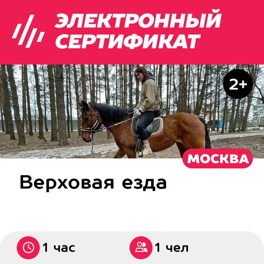 Подарочный сертификат Индивидуальное обучение верховой езде с тренером, 1 чел., 1 час, выходные