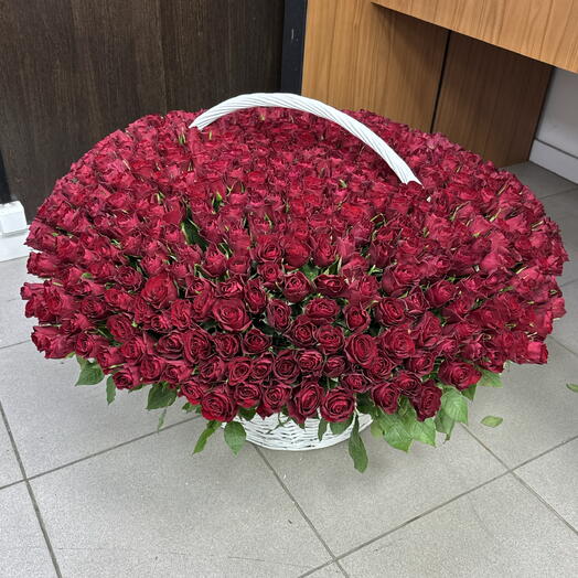 501 не крупная бордовая Роза в корзине