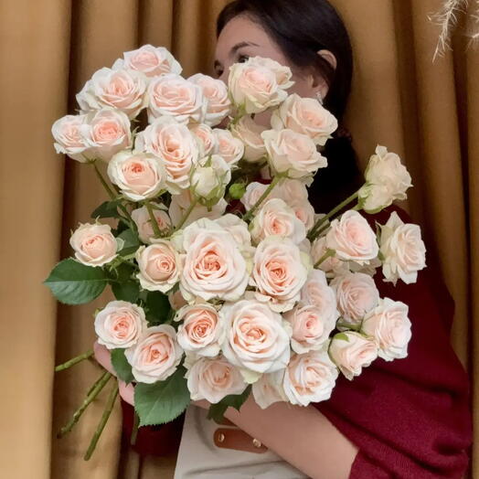 Роза кустовая