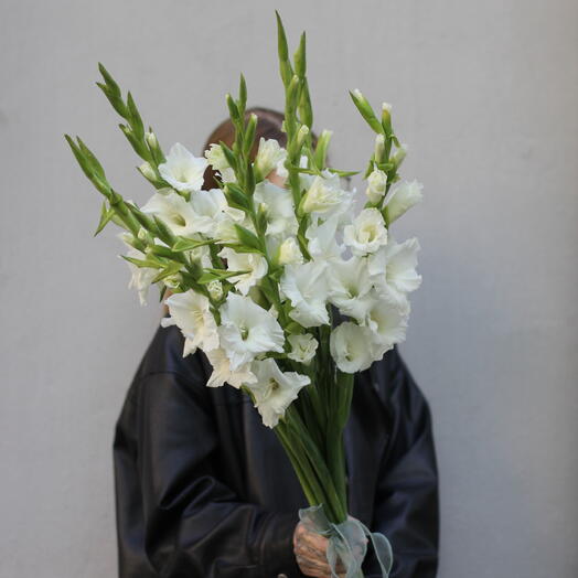Гладиолусы «Blanc» 9