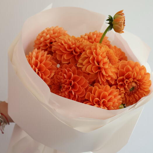 Orange Dahlias