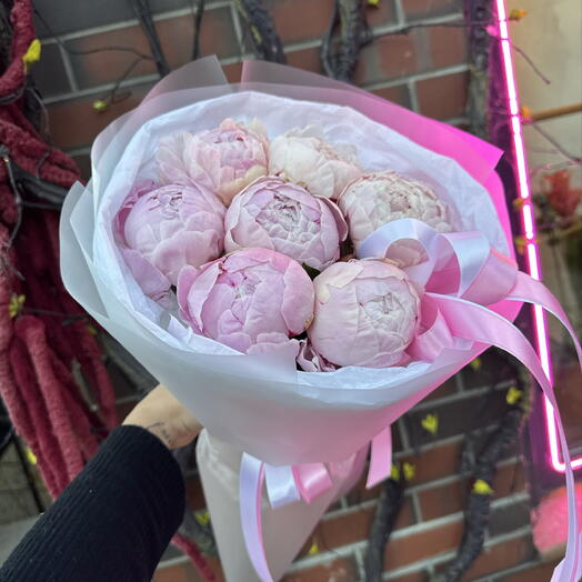 Пионы как пломбир 💕