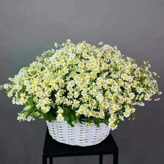 Корзина из ромашек