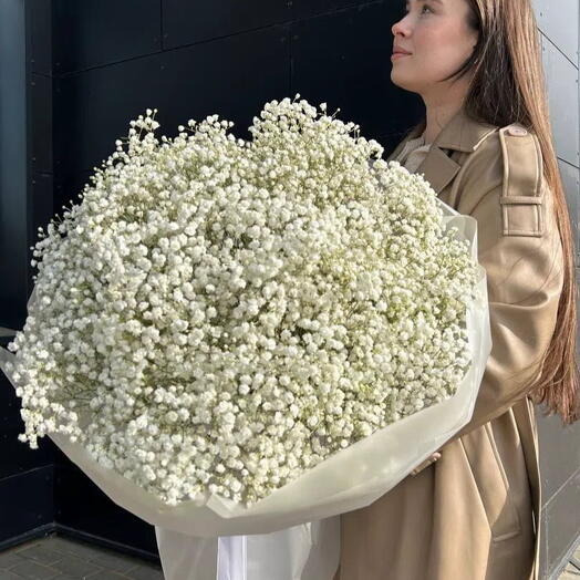 Букет из 25 белых гипсофил