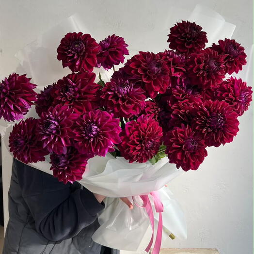 Dahlia