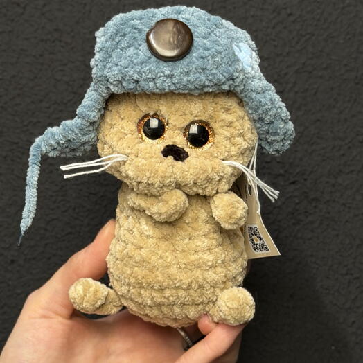 Кот в шапке