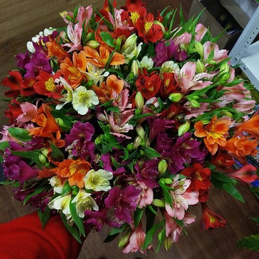25 alstroemeria