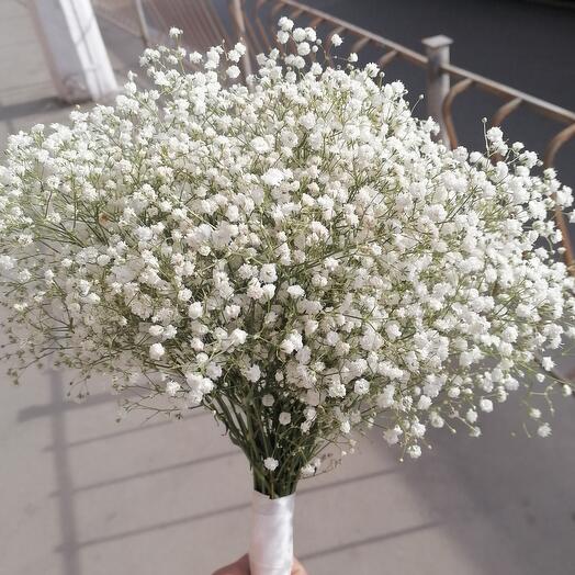 Брызги шампанского из гипсофилы