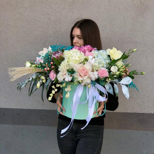 Евро \ Бокс  « Хамелеон »