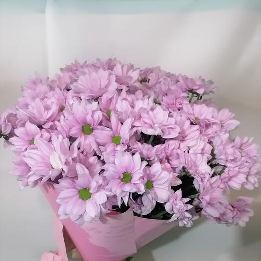 Розовый букет хризантем