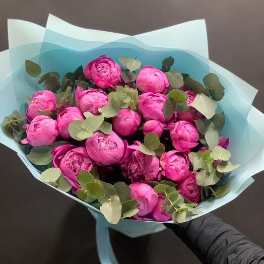 Пионы Флеминг 🌺