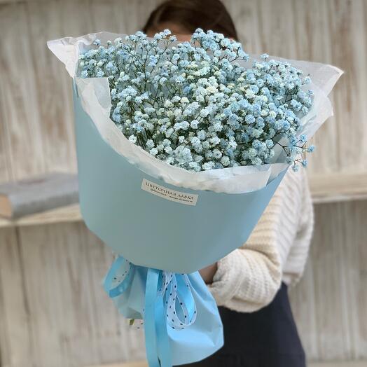 Bouquet of gypsophila