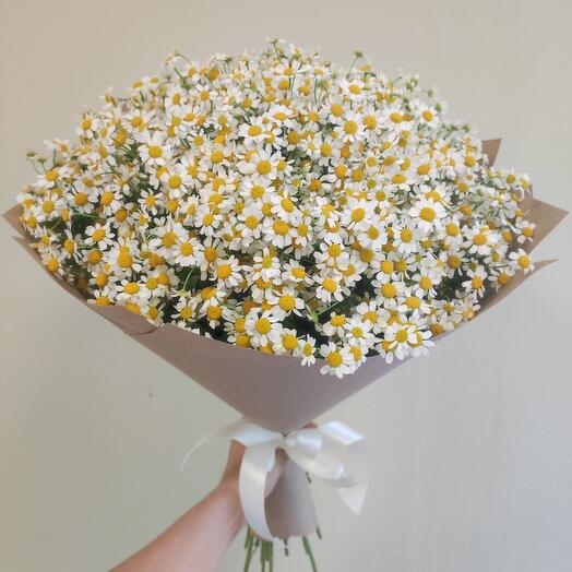 Bouquet of 25 bush daisies