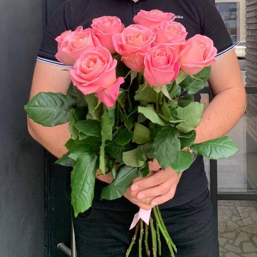 Rosa Hermosa