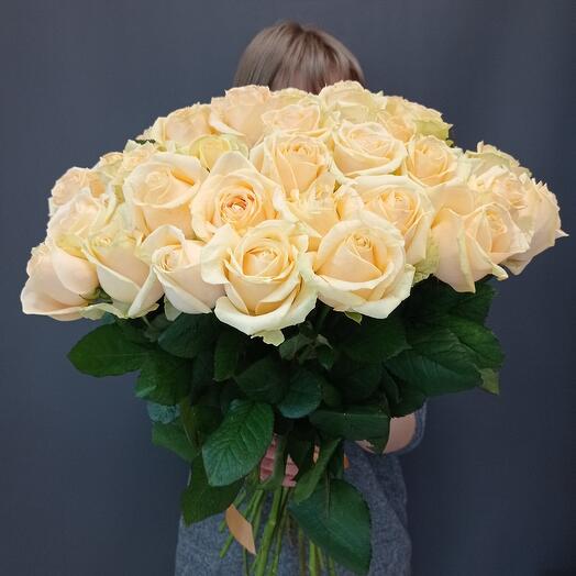 Rose 35