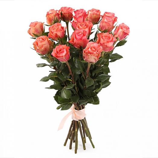 15 rosas"Wow"