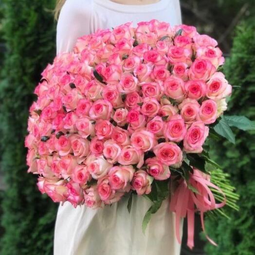 101 Pink Roses