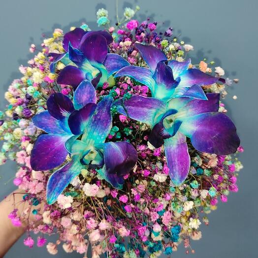 Stars in the palm of your hand