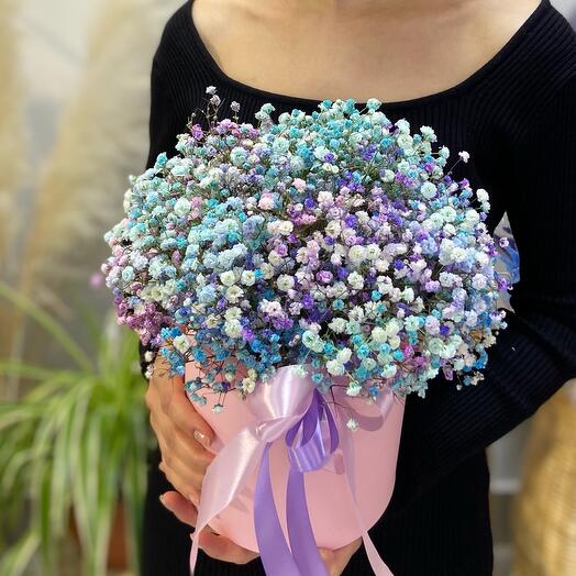 Pastel gypsophila 🌈