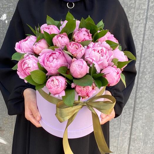 Peony Sarah in a box