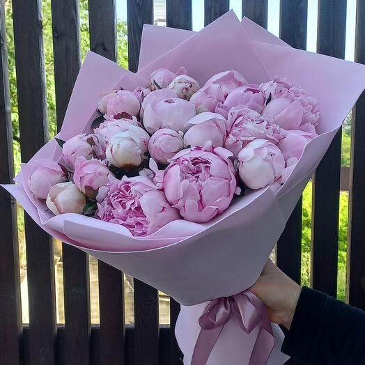 15 розовых пионов Сара бернар