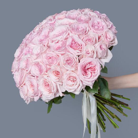 51 Роза Эквадор 🌹
