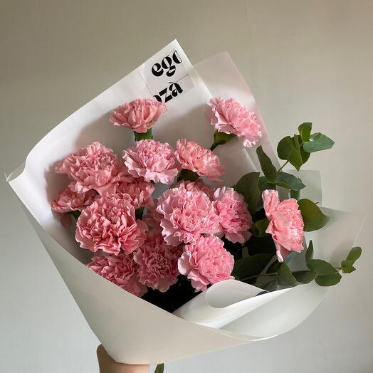 Cutie Dianthus